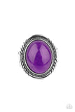 stone-terrarium-purple